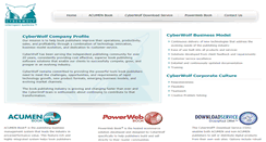 Desktop Screenshot of cyberwolf.com
